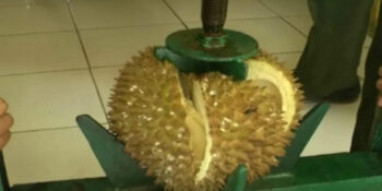 “Viral! Pelajar SMK Bikin Mesin Pengupas Durian Otomatis, Panen Pujian Warganet”