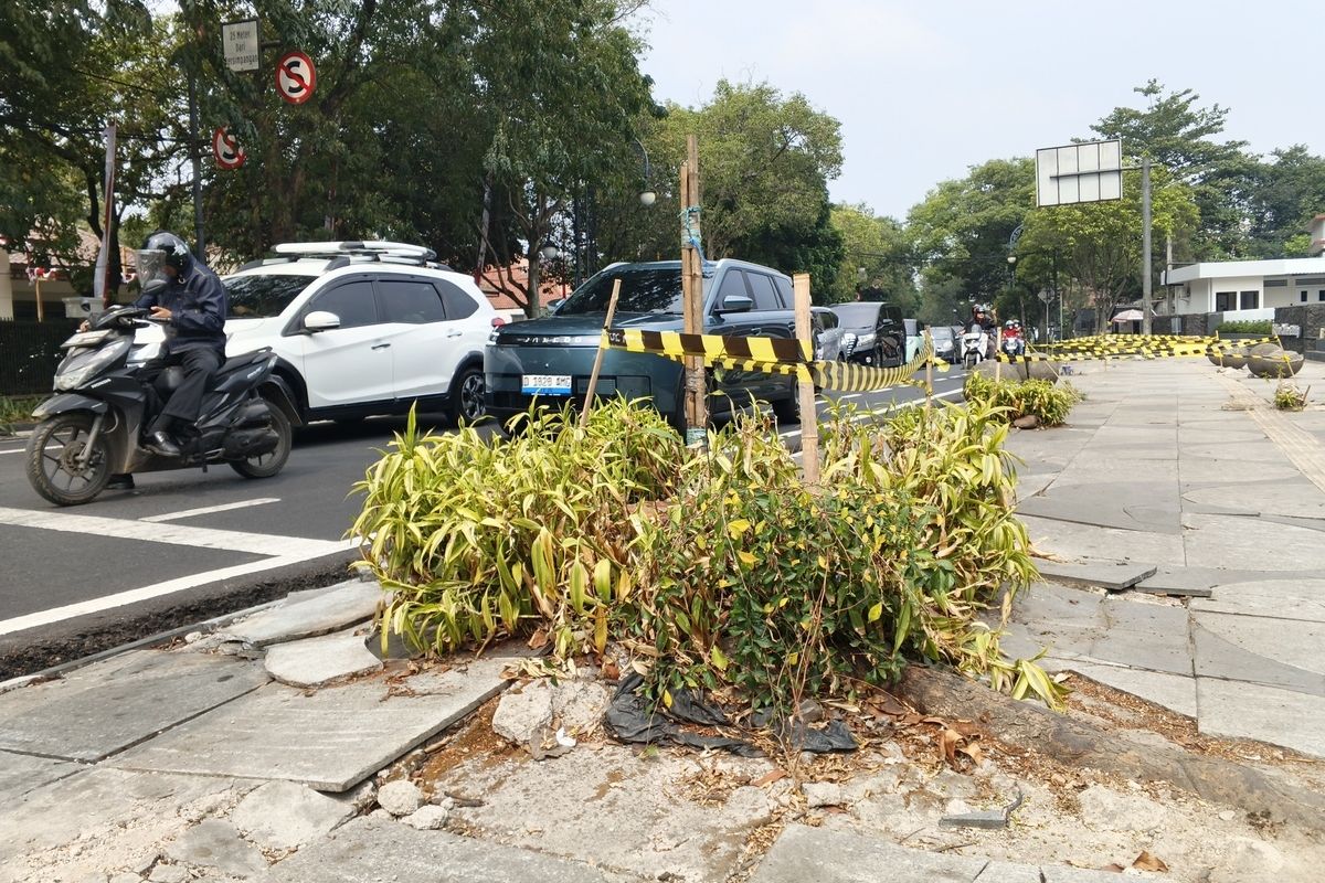 Area Bekas Penebangan Pohon di Cihapit Ditutup Beton dan Dipagari, Warga Soroti Penataan Lokasi