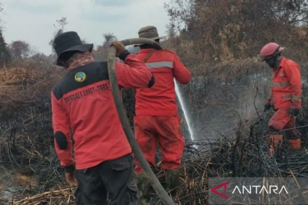 Operasi Gabungan Berhasil Tekan Kebakaran Hutan dan Lahan di Taman Nasional Berbak